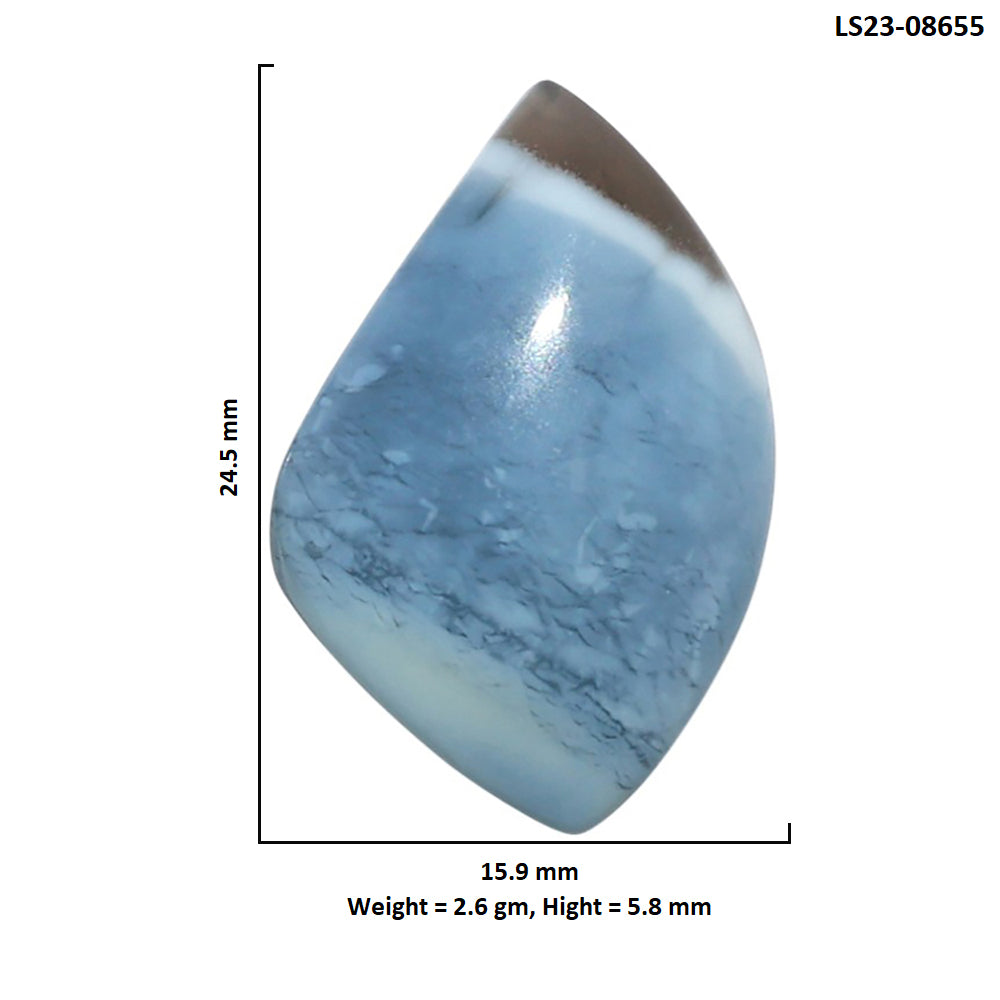 Owyhee Opal 15.9x24.5x5.8 mm Fancy Shape Polished Gemstone LS23-08655