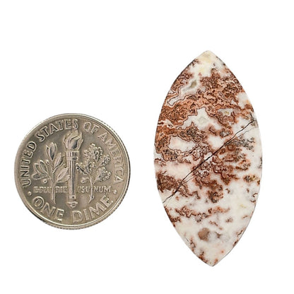 Rosetta Picture Jasper 16.5x33.15x4.5 mm Marquise Shape Polished Gemstone LS24-05926