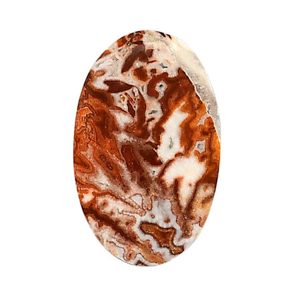 Rosetta Picture Jasper 16x25.8x5 mm Oval Shape Polished Gemstone LS24-05927