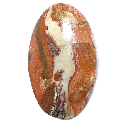 Rosetta Picture Jasper 17x28.25x4.8 mm Oval Shape Polished Gemstone LS24-08107