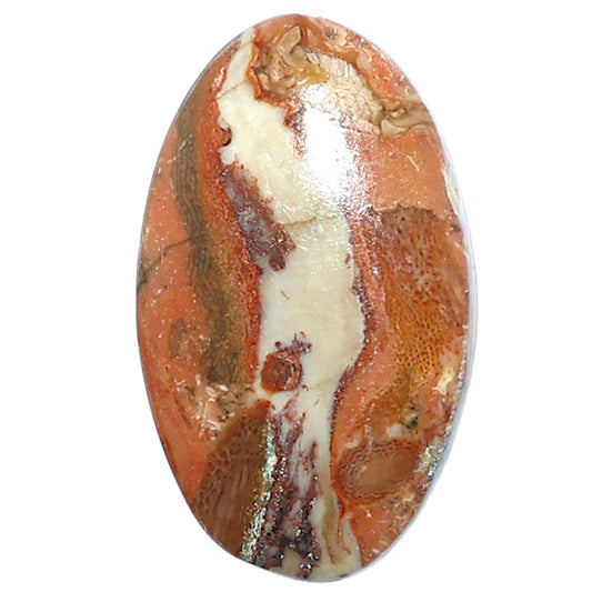 Rosetta Picture Jasper 17x28.25x4.8 mm Oval Shape Polished Gemstone LS24-08107