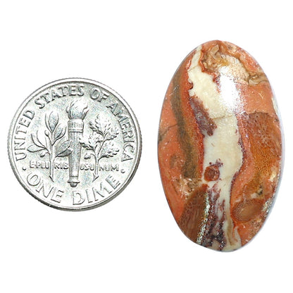 Rosetta Picture Jasper 17x28.25x4.8 mm Oval Shape Polished Gemstone LS24-08107