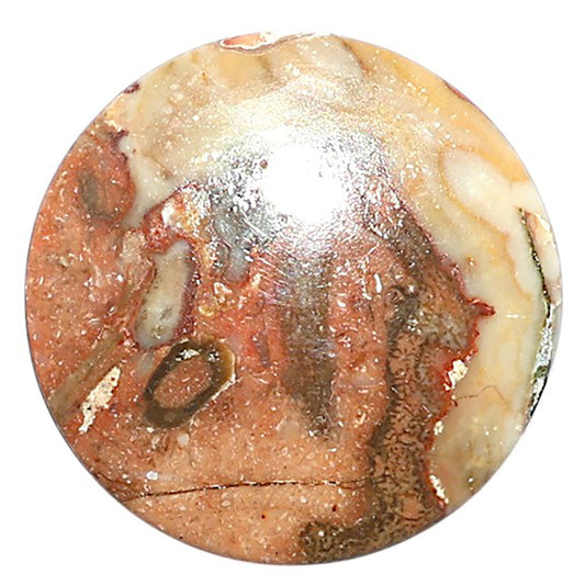 Rosetta Picture Jasper 24x24x5 mm Round Shape Polished Gemstone LS24-08126