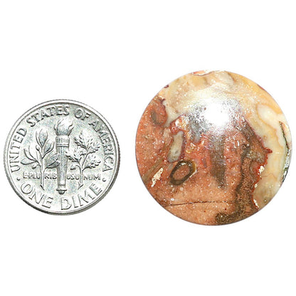 Rosetta Picture Jasper 24x24x5 mm Round Shape Polished Gemstone LS24-08126