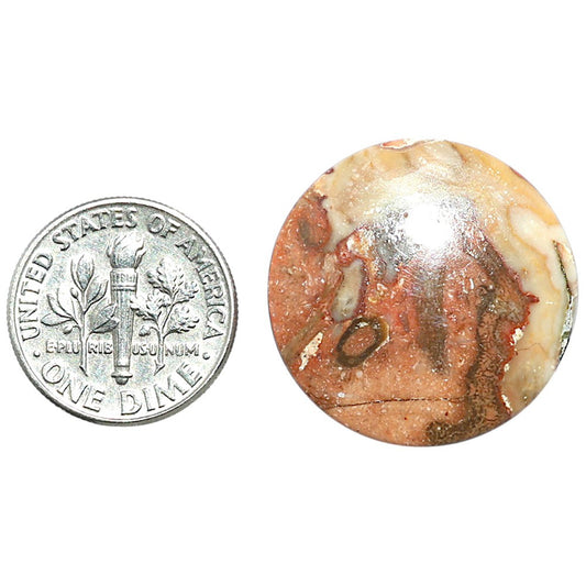 Rosetta Picture Jasper 24x24x5 mm Round Shape Polished Gemstone LS24-08126