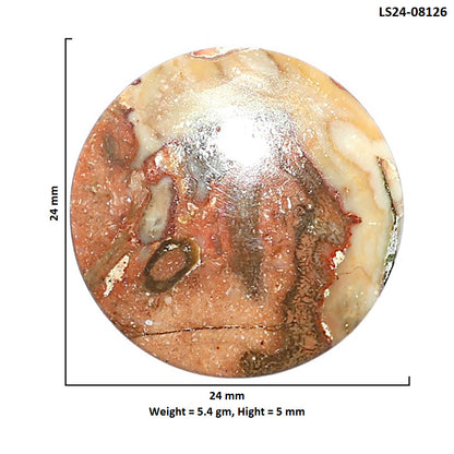 Rosetta Picture Jasper 24x24x5 mm Round Shape Polished Gemstone LS24-08126