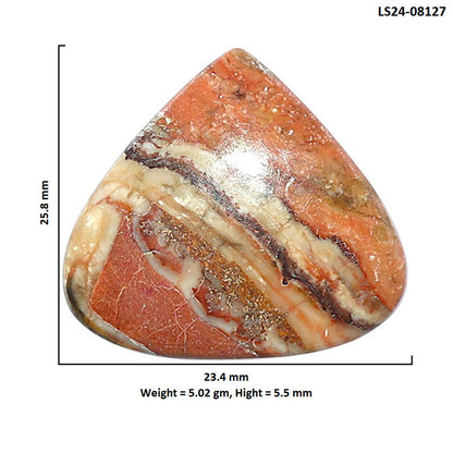 Rosetta Picture Jasper 23.4x25.8x5.5 mm Heart Shape Polished Gemstone LS24-08127