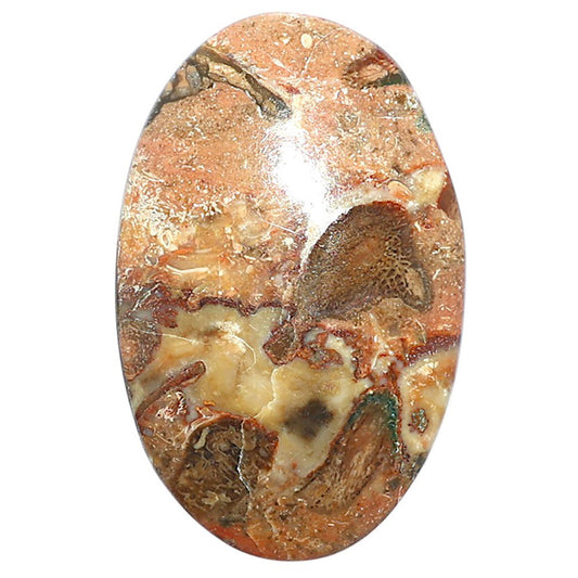 Rosetta Picture Jasper 22.9x35.7x6 mm Oval Shape Polished Gemstone LS24-08128