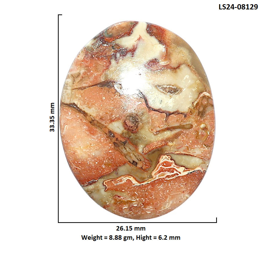 Rosetta Picture Jasper 26.15x33.35x6.2 mm Oval Shape Polished Gemstone LS24-08129