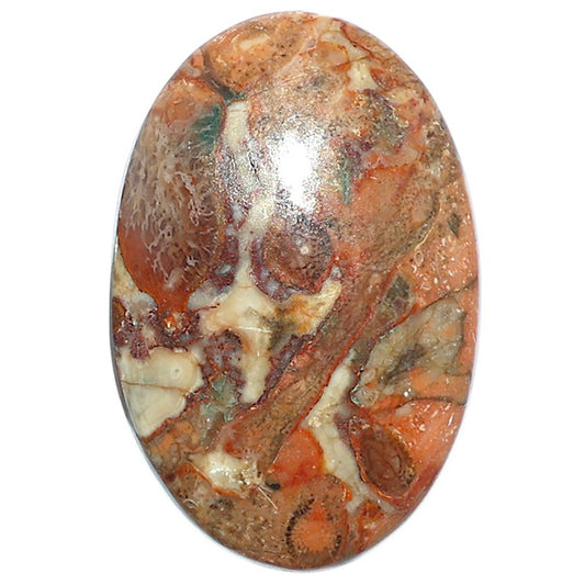 Rosetta Picture Jasper 22x33.3x5.8 mm Oval Shape Polished Gemstone LS24-08130
