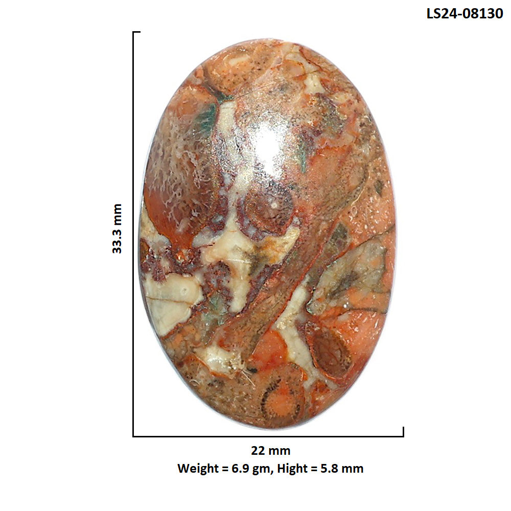 Rosetta Picture Jasper 22x33.3x5.8 mm Oval Shape Polished Gemstone LS24-08130