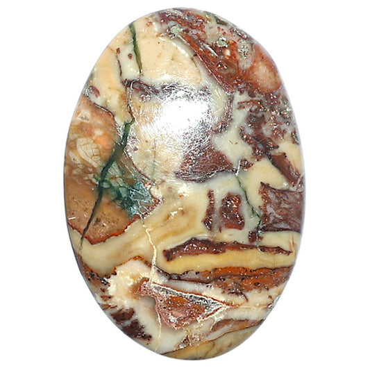 Rosetta Picture Jasper 20.7x30x6 mm Oval Shape Polished Gemstone LS24-08133