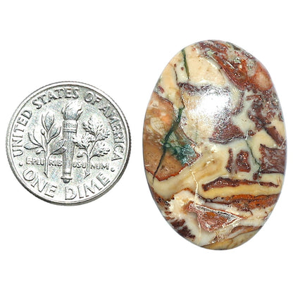 Rosetta Picture Jasper 20.7x30x6 mm Oval Shape Polished Gemstone LS24-08133