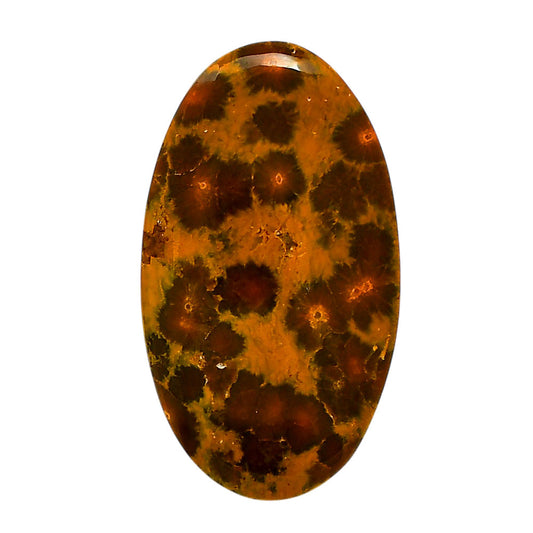 Ocean Jasper 24.6x43.55x6 mm Oval Shape Polished Gemstone LS27-05559