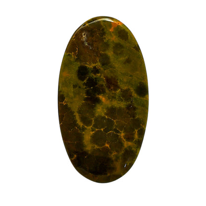 Ocean Jasper 24.5x44.8x6 mm Oval Shape Polished Gemstone LS27-05560