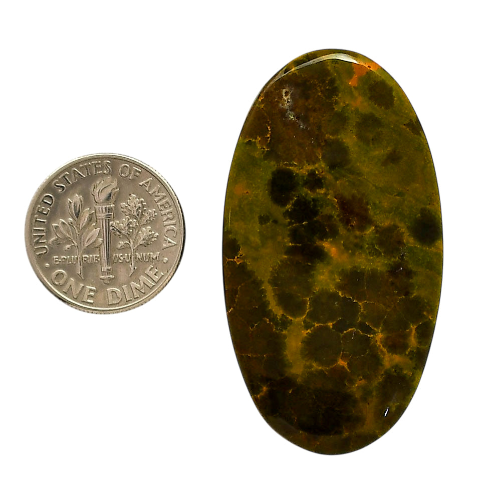 Ocean Jasper 24.5x44.8x6 mm Oval Shape Polished Gemstone LS27-05560