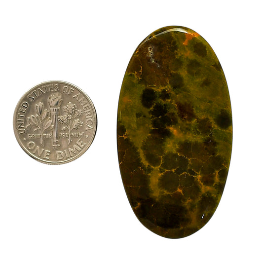 Ocean Jasper 24.5x44.8x6 mm Oval Shape Polished Gemstone LS27-05560