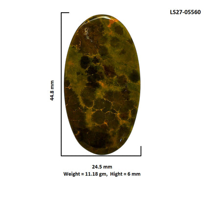 Ocean Jasper 24.5x44.8x6 mm Oval Shape Polished Gemstone LS27-05560