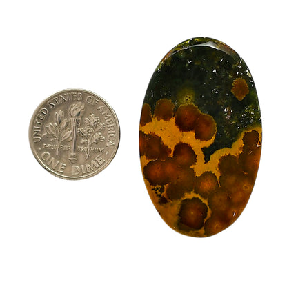 Ocean Jasper 24x38.7x5.5 mm Oval Shape Polished Gemstone LS27-05564