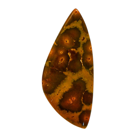 Ocean Jasper 17.6x41x5 mm Fancy Shape Polished Gemstone LS27-05565