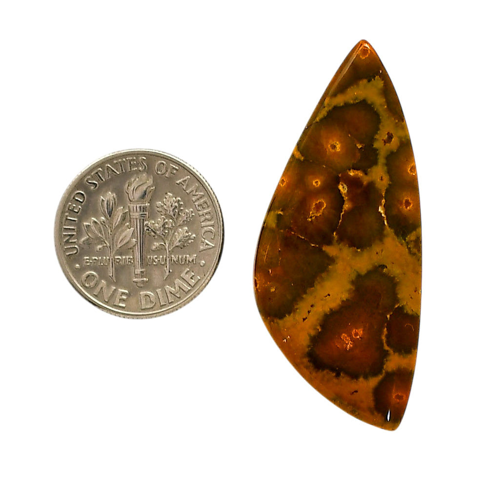 Ocean Jasper 17.6x41x5 mm Fancy Shape Polished Gemstone LS27-05565