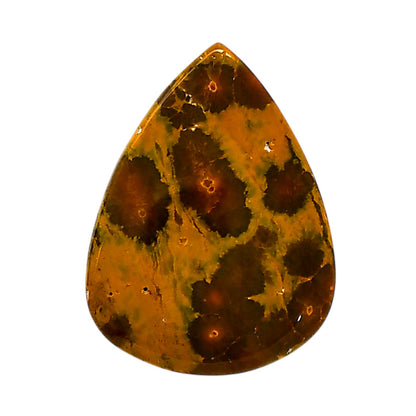 Ocean Jasper 23x30.6x5 mm Pear Shape Polished Gemstone LS27-05569