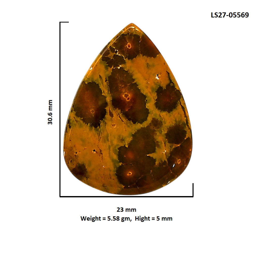 Ocean Jasper 23x30.6x5 mm Pear Shape Polished Gemstone LS27-05569