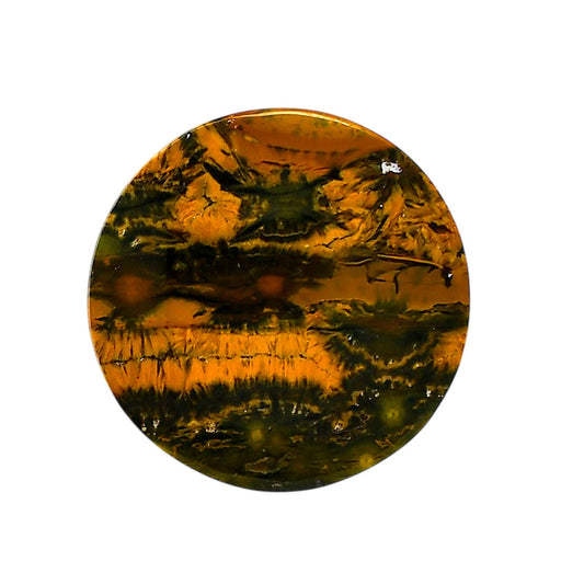 Ocean Jasper 32.5x32.5x5 mm Round Shape Polished Gemstone LS27-05570