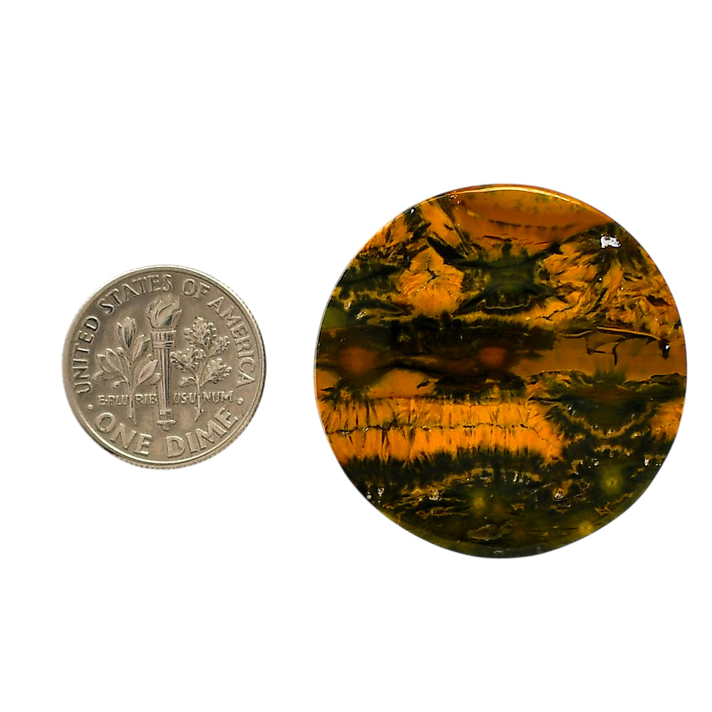 Ocean Jasper 32.5x32.5x5 mm Round Shape Polished Gemstone LS27-05570