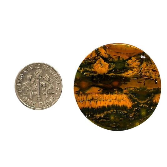 Ocean Jasper 32.5x32.5x5 mm Round Shape Polished Gemstone LS27-05570