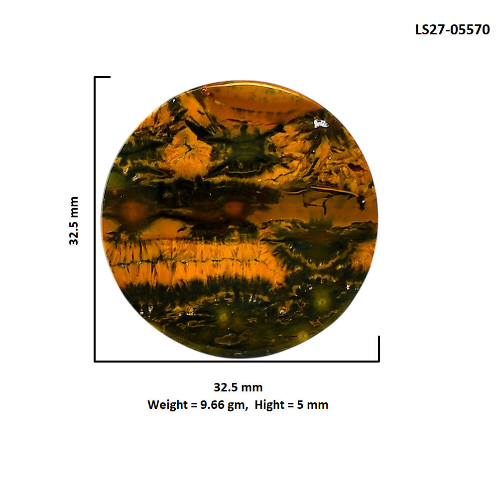 Ocean Jasper 32.5x32.5x5 mm Round Shape Polished Gemstone LS27-05570