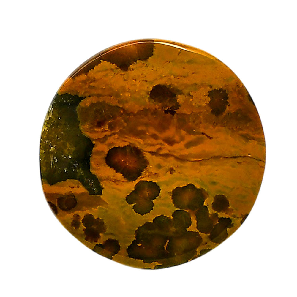 Ocean Jasper 30.5x30.5x5 mm Round Shape Polished Gemstone LS27-05571