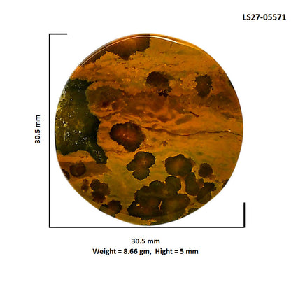 Ocean Jasper 30.5x30.5x5 mm Round Shape Polished Gemstone LS27-05571