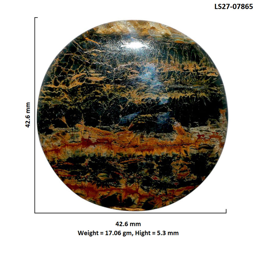 Ocean Jasper 42.6x42.6x5.3 mm Round Shape Polished Gemstone LS27-07865
