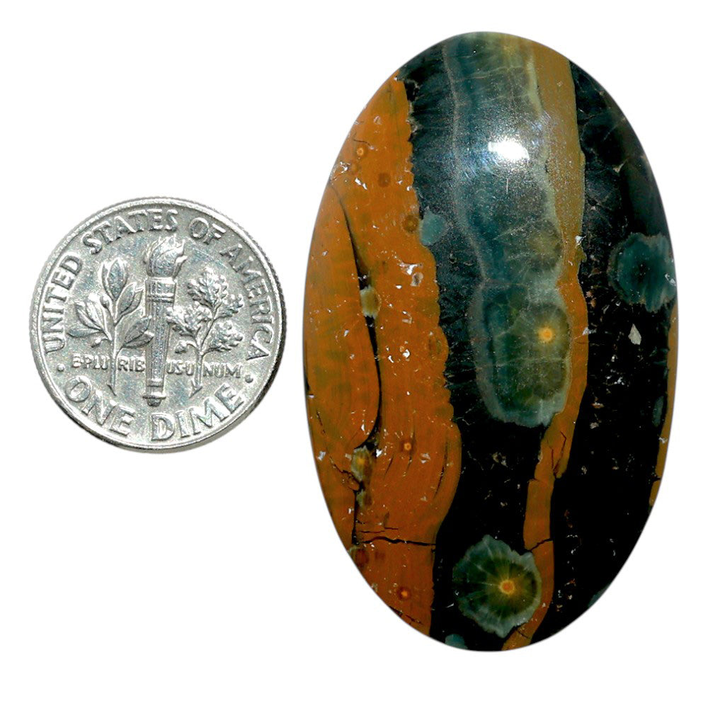 Ocean Jasper 25.7x42.2x6.7 mm Oval Shape Polished Gemstone LS27-07866