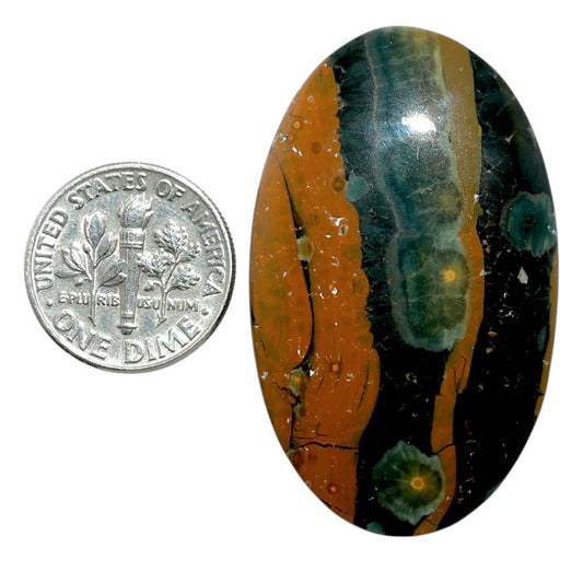 Ocean Jasper 25.7x42.2x6.7 mm Oval Shape Polished Gemstone LS27-07866