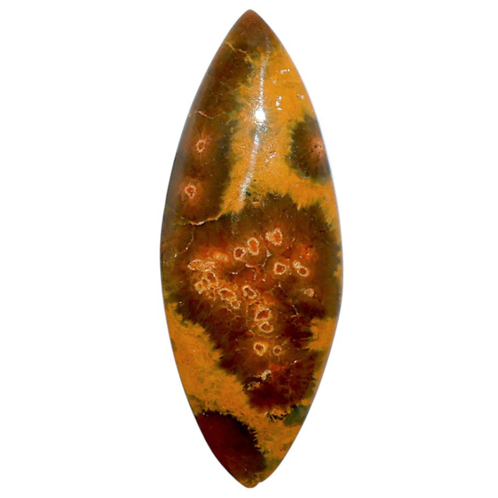 Ocean Jasper 14.8x38.6x5.3 mm Marquise Shape Polished Gemstone LS27-07872