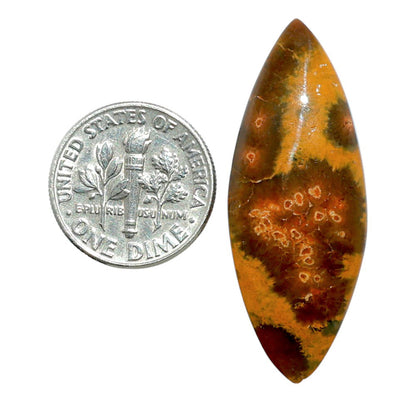 Ocean Jasper 14.8x38.6x5.3 mm Marquise Shape Polished Gemstone LS27-07872