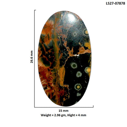Ocean Jasper 15x26.6x4 mm Oval Shape Polished Gemstone LS27-07878