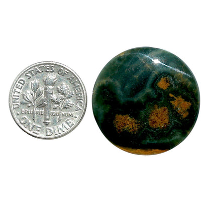 Ocean Jasper 24.7x24.7x4 mm Round Shape Polished Gemstone LS27-07879