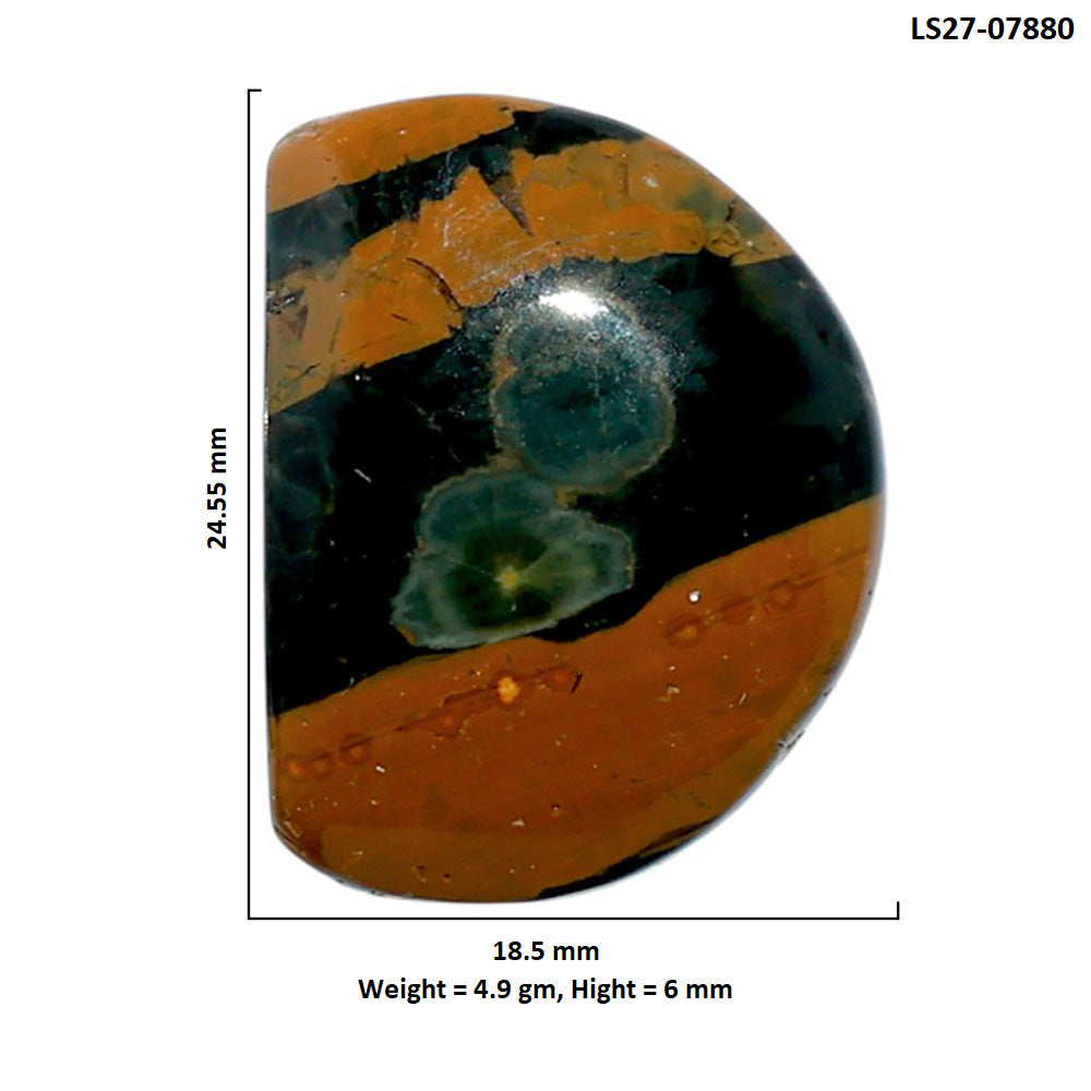 Ocean Jasper 18.5x24.55x6 mm Fancy Shape Polished Gemstone LS27-07880
