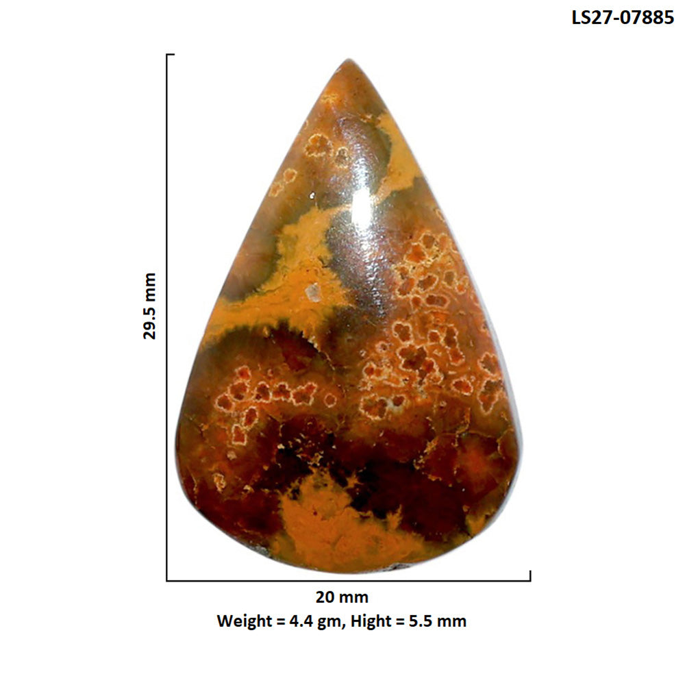 Ocean Jasper 20x29.5x5.5 mm Pear Shape Polished Gemstone LS27-07885