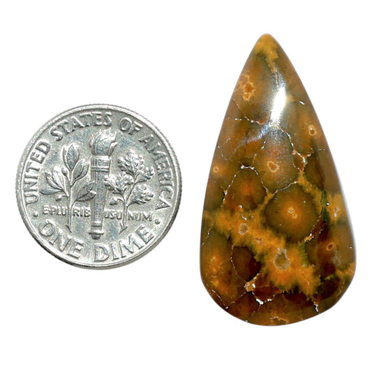 Ocean Jasper 16.7x31.3x5 mm Pear Shape Polished Gemstone LS27-07886
