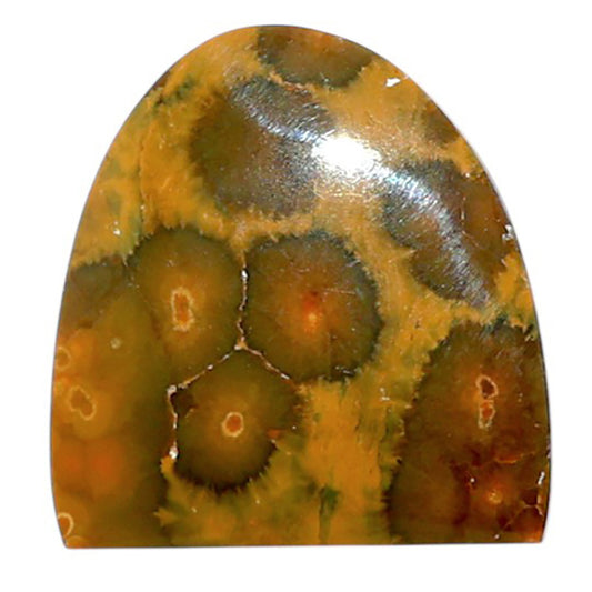 Ocean Jasper 18.5x19.4x4.4 mm Fancy Shape Polished Gemstone LS27-07887