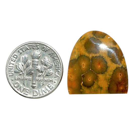 Ocean Jasper 18.5x19.4x4.4 mm Fancy Shape Polished Gemstone LS27-07887