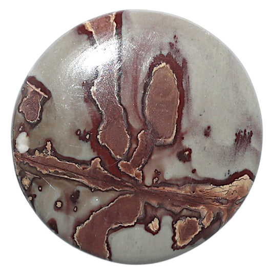 Coffee Bean Jasper 34x34x5 mm Round Shape Polished Gemstone LS28-08212