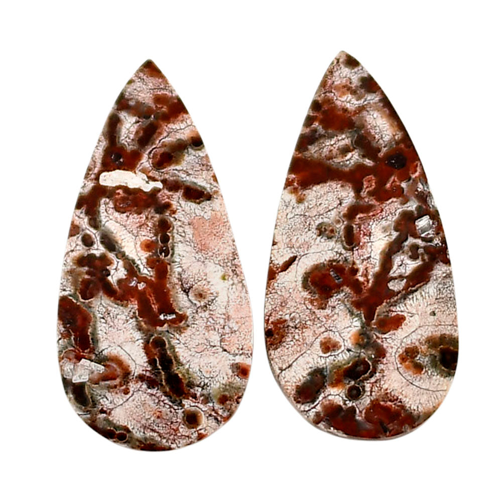 Leopard Skin Jasper Pair 12.4x25x4 mm Pear Shape Polished Gemstone LS30-04690
