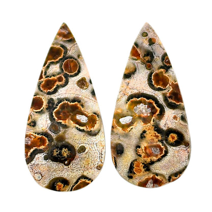 Leopard Skin Jasper Pair 11.8x24.8x4 mm Pear Shape Polished Gemstone LS30-04691