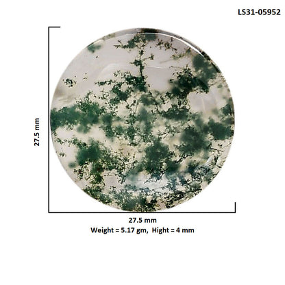 Green Moss Agate 27.5x27.5x4 mm Round Shape Polished Gemstone LS31-05952