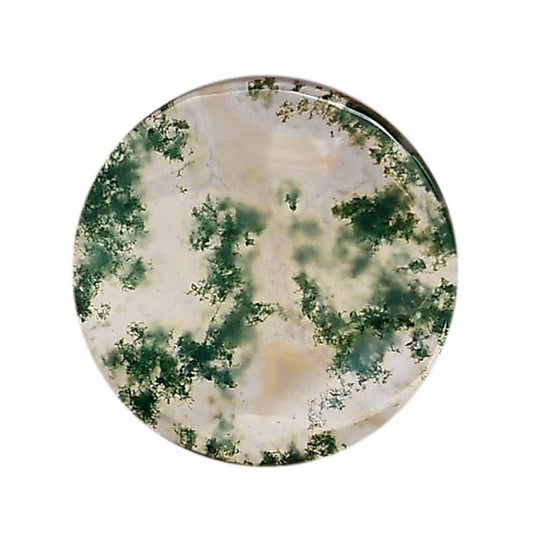 Green Moss Agate 25.8x25.8x4 mm Round Shape Polished Gemstone LS31-05953